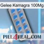 Jelly Kamagra 100Mg 22